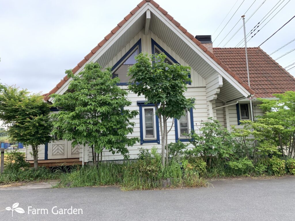 woodfarm_before3