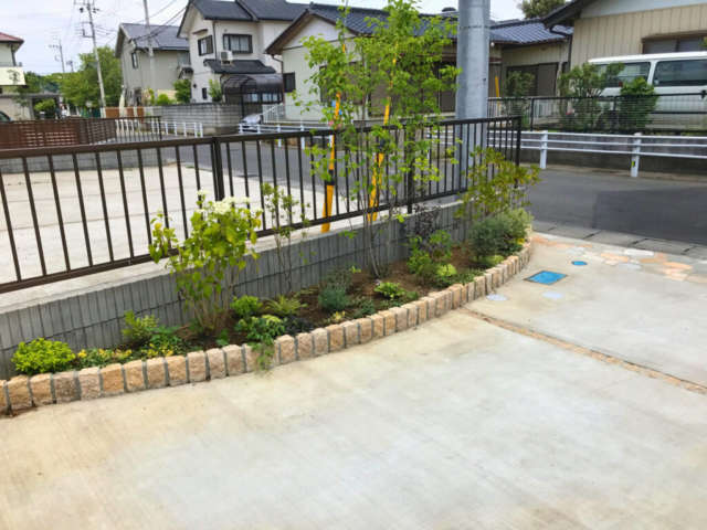 駐車場脇のピンコロ花壇。ナチュラルな植栽スペースになっています。