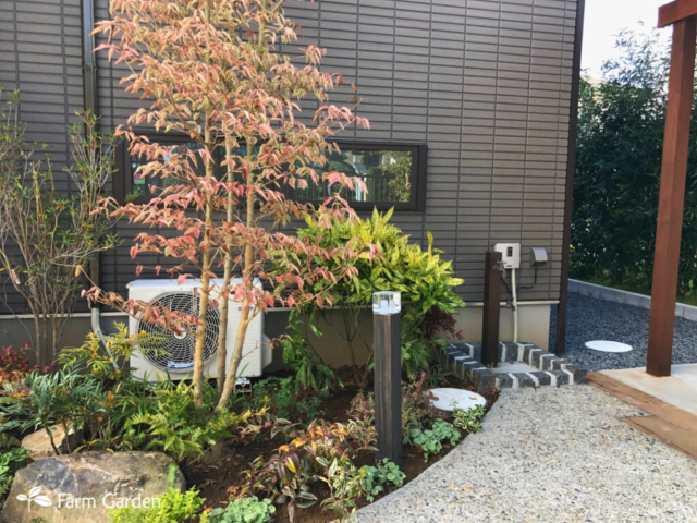 11月には美しい紅葉も楽しめます
