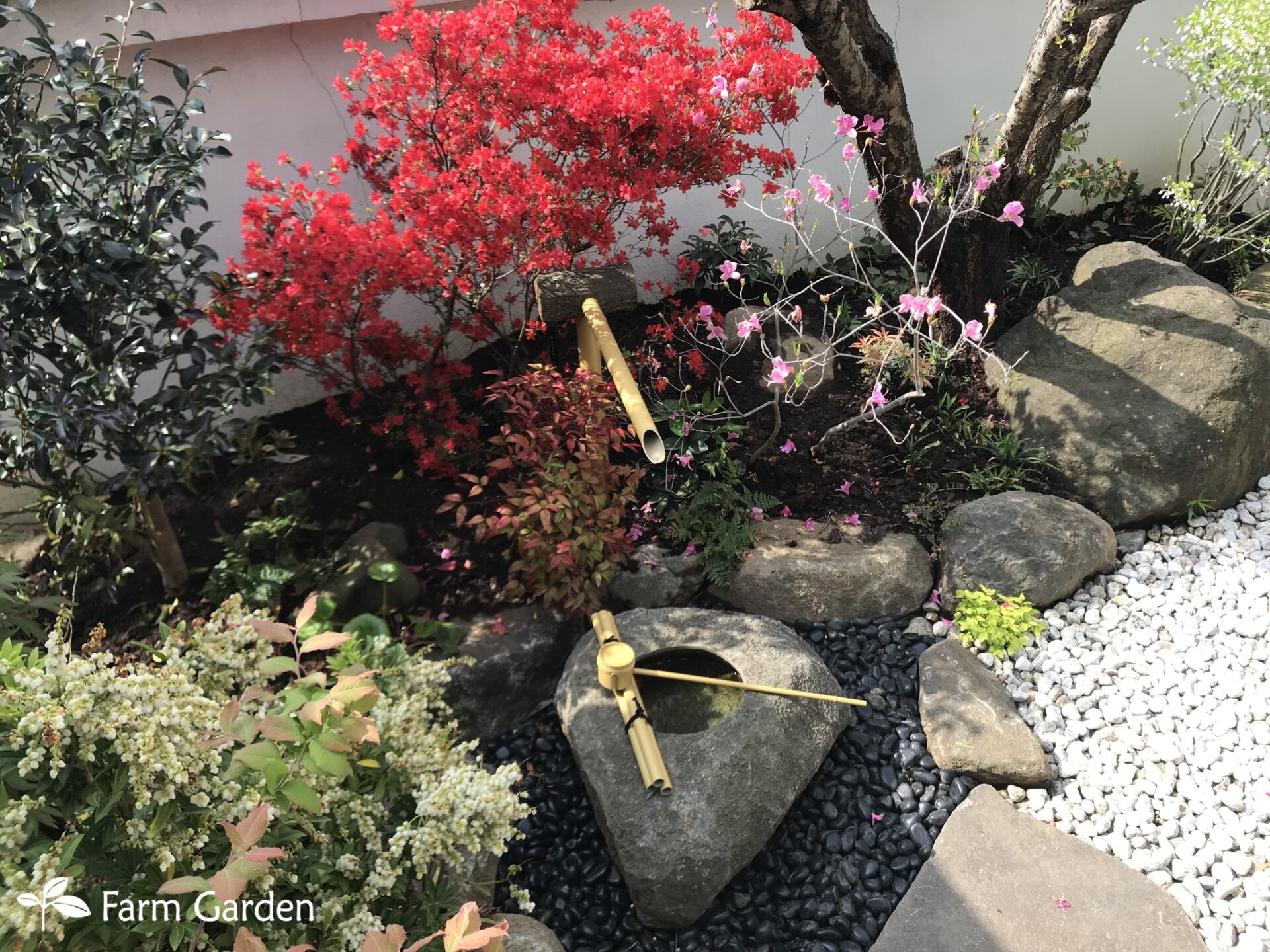 S邸5