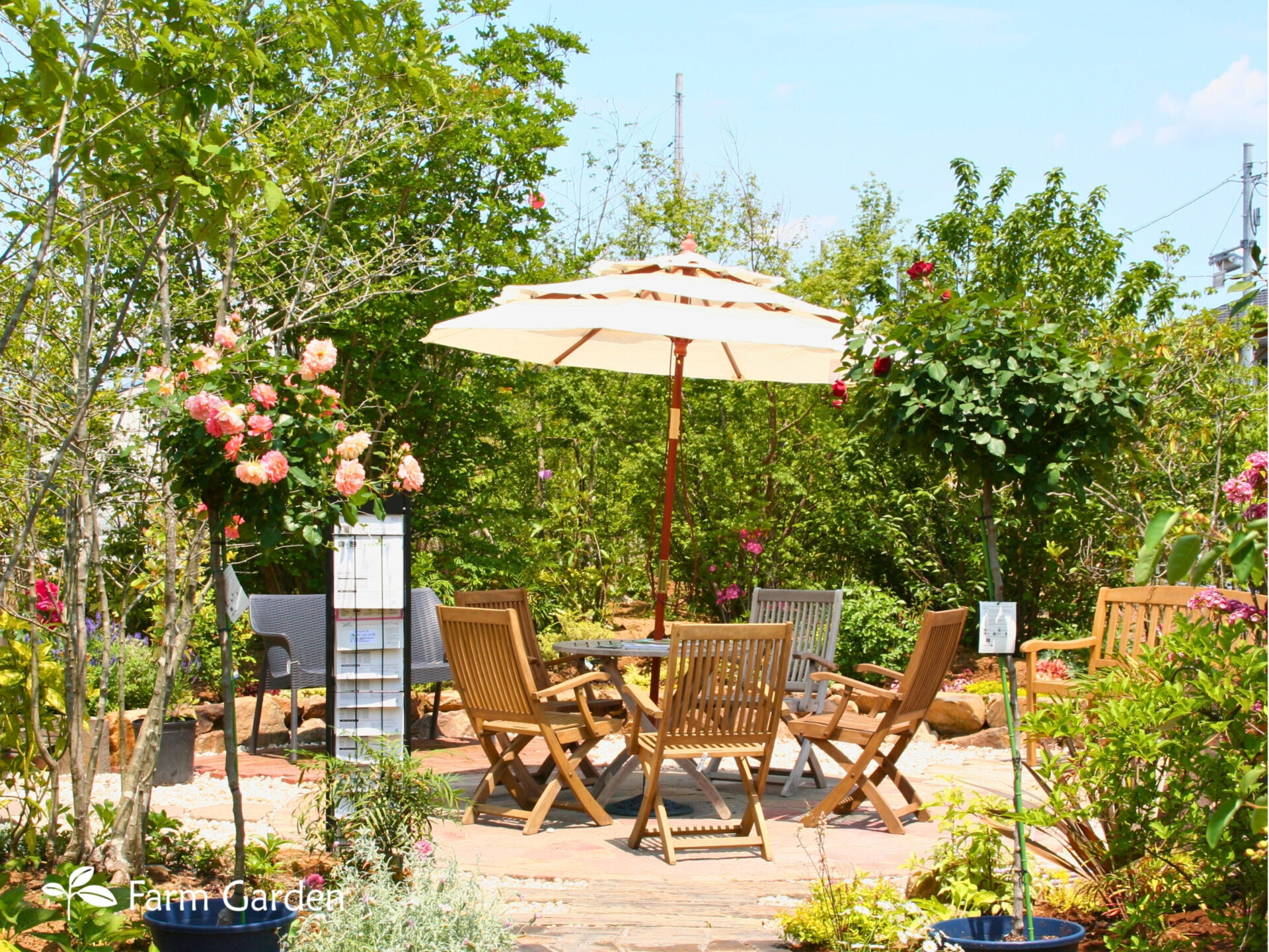 庭におすすめのバラまとめ | ファームガーデン株式会社